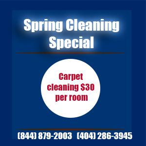 Spring Cleaning Special